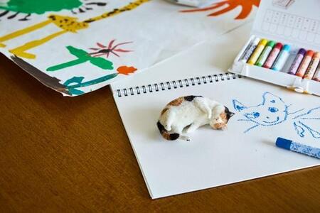 手のひらサイズの羊毛フェルト猫　お留守番中にお家の中を大冒険　羊毛フェルト作家が初のストーリー作品集を出版