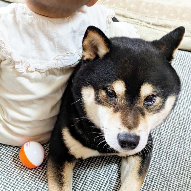 「兄の余裕」が漂うおはぎくん。妹をしっかり受け止めます（画像提供：おはぎさん）