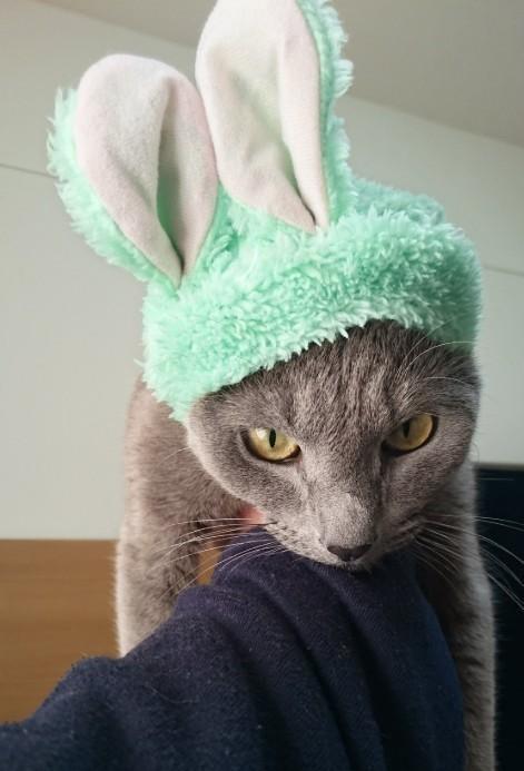 元気な頃は、かわいいコスプレ姿も見せてくれた