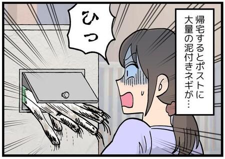 リアルごんぎつね？　ポストに押し込めれた泥つきのネギの束　義父母の善意が正直しんどい