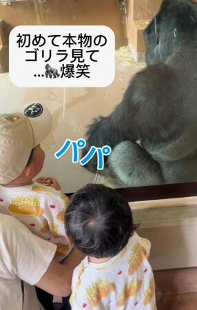 初めて見た動物園のゴリラ　年子兄弟が放ったまさかの一言は「あ、パパだ！」　大きくてがっちりした動物やキャラはみんなパパ！