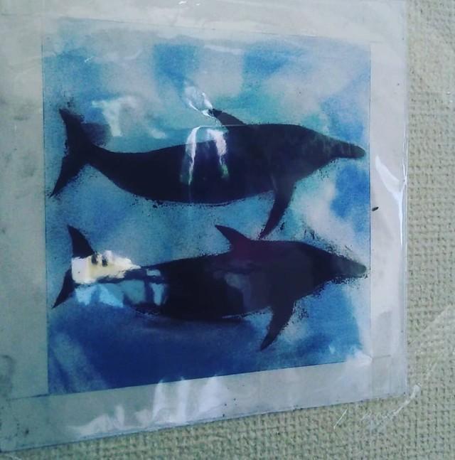 娘さんが小学一年生で描いた「黒いイルカ」／生藤農園さん（@ikefujinouen_c.lover）提供