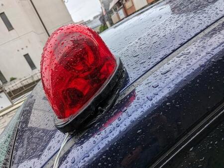 「見知らぬ男に後頭部を殴られた」…地域猫の餌やり活動中に男性が被害