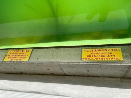 「このアクリルガラスは家が買えるくらい高かったです」　水族館に張られたガラス破壊への注意喚起（煽り文句）が話題に