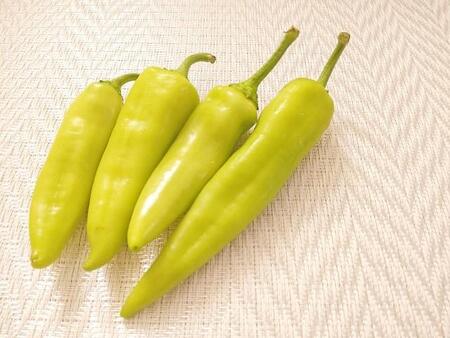 信州産のナゾの唐辛子が話題、激辛なのにネーミングが可愛すぎ?見た目にだまされた人が…