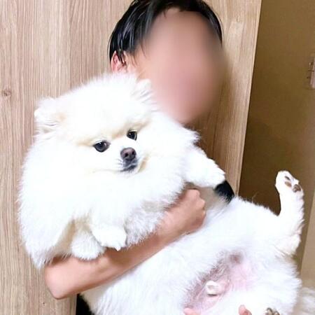 超夏休みモード！息子×犬のゴロ寝＆へそ天姿に思わずニヤける「幸せすぎる」「これになりたい」