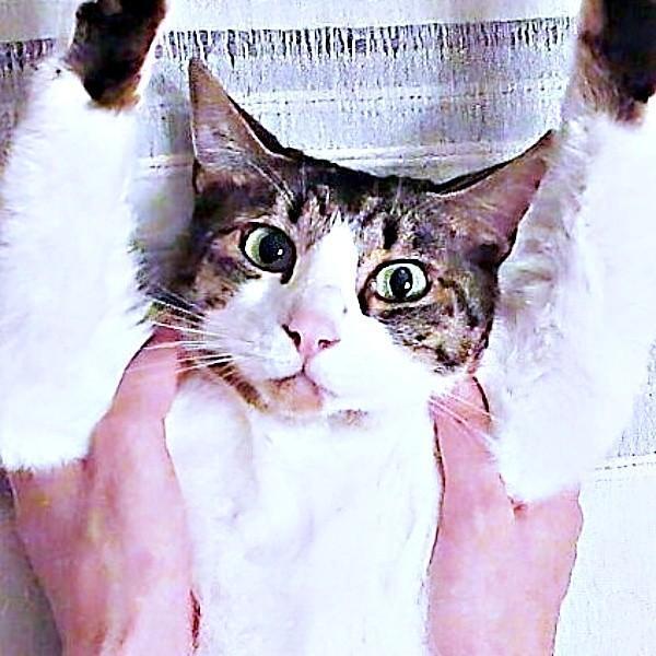 くうちゃんの「スライムボディ」に仰天！ その全貌とはーー（画像提供：Yさん）