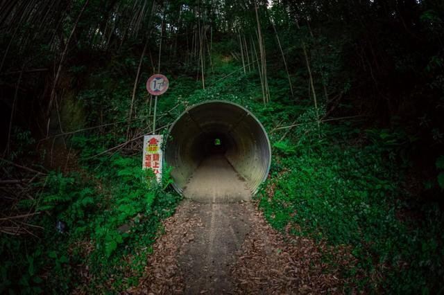 異世界感のある隧道の出口／一人旅研究会（@hitoritabiken）さん提供