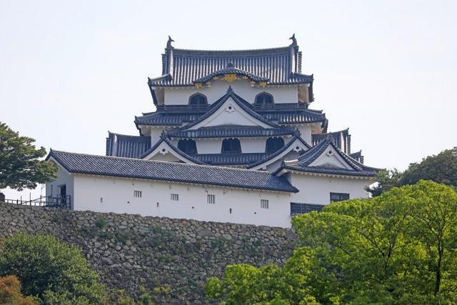彦根城は標高約130ｍの山に築かれており、入場口から天守までの高低差は約50ｍあるという