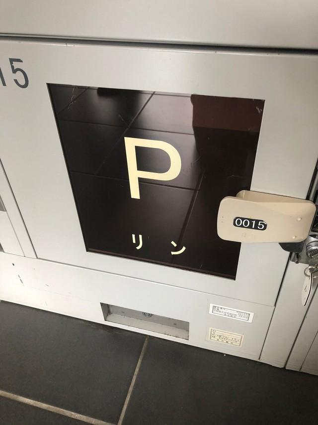 リン！（スノウさん提供）