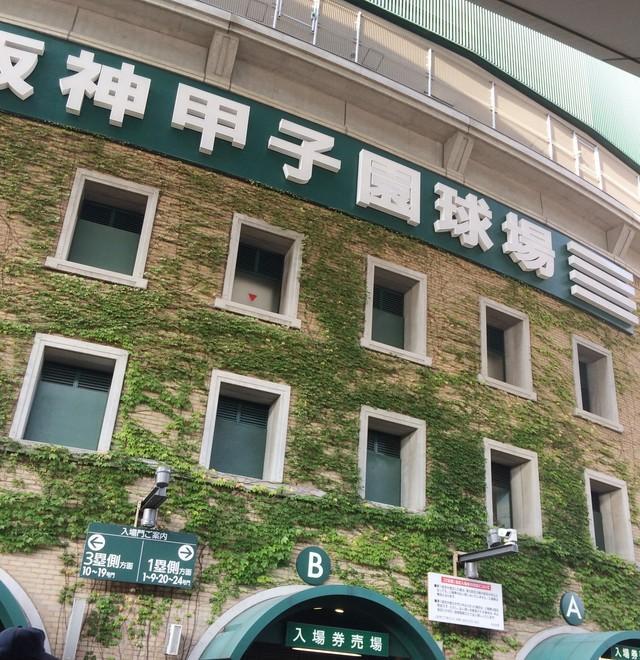 連日、熱戦が繰り広げられる甲子園球場