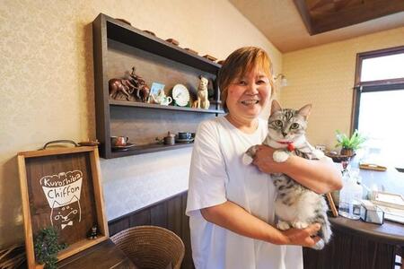 黒柴店長と子猫の「仲良しコンビ」が出迎えてくれる　隠れ家的人気のシフォンケーキ屋さん