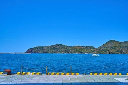 「君は日本海にいないはずでは…？」漁師10年、島根で初遭遇の魚に衝撃 「地球環境が動いてますね」「今後どうなる」