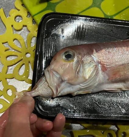 スーパーで出会った「おまけ付き」の「甘鯛」が話題に　これは「めで鯛」「お得すぎる」