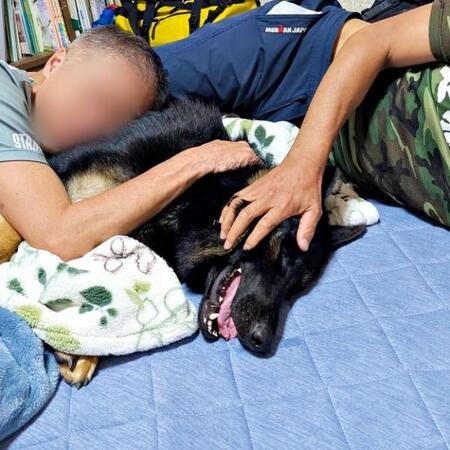おっさんの飲み会に大型犬を投入した結果…　全員デレデレになった光景に19万いいね「なんだこの幸せ空間」「犬がちょっと嬉しそう」