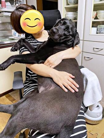 「なんて幸せなお風呂準備だ！」愛犬と飼い主のシンクロにほっこり　お風呂をのぞく後ろ姿に4.5万いいね「親のまねっこする子どもみたい」