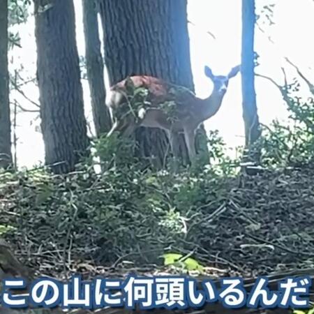 森林が丸裸に…草も木も根こそぎ食べ尽くす「日本で最もヤバい害獣はシカ」 ハンターが見た“土砂崩れ寸前”の山の姿に言葉を失う