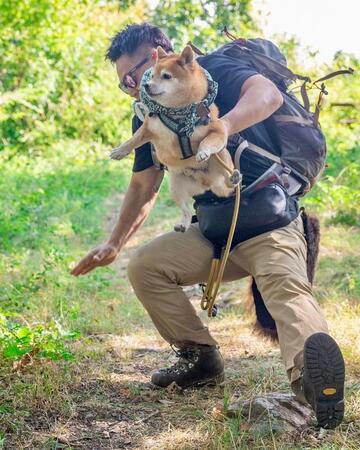 おっと、どういう状況！？「奇跡の瞬間が撮れた」→「人間と犬、魂までリンクした受け身」姿に反響「完全にシンクロ」