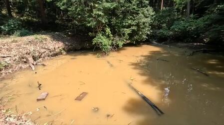 「池干しでも効かない」厄介な外来種アメリカザリガニ　1年で2万匹駆除すると……茶色に濁った池に水草が回復、多様な生き物あふれる水辺に