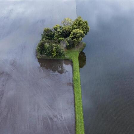 田んぼの真ん中に「ポツンと神社」　水面に浮かぶ春、深緑に包まれる夏……四季通い詰める写真家が古老から教わった心温まる話