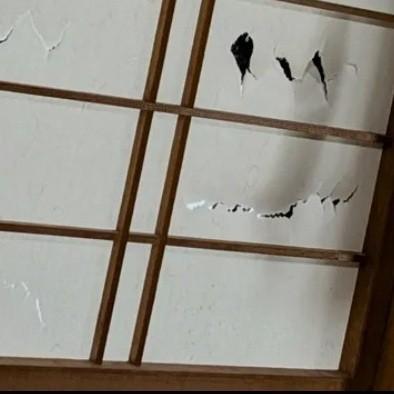 「まるでステンドグラス」息子が破ってしまった障子が大変身!? 画家の母の”一石百鳥”なアイデアに「この発想はなかった」「かわいすぎる!真似したい!」