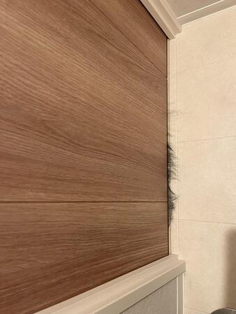 扉のすき間から「毛」が…「これはホラー！？」「怪異に見えた」→実は…