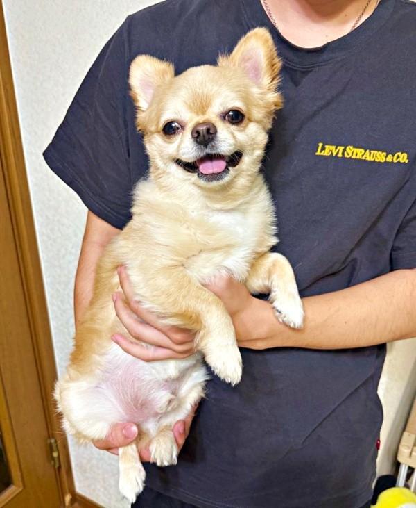 飼い主さんの弟に抱っこされて笑顔になるてんくん（画像提供：てん（6）さん）