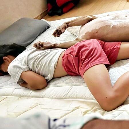 「昨日遊びすぎた」うつ伏せの息子とヘソ天の犬　安心しきった“きょうだい”の熟睡姿に「これが幸せの構図」→45万いいね突破！