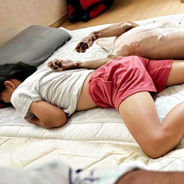 息子さんの向こう側にはーーアンちゃんがへそ天ですやすや（画像提供：アン-ANNE-さん）