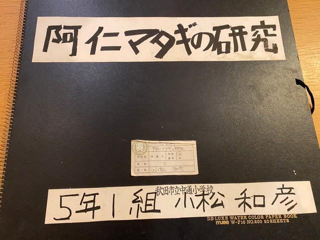 40年前の小学生の夏休みの研究が話題（小松和彦さん提供）