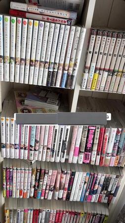 小4の頃に買いためていたマンガを……母親に捨てられて大泣き 大人になって趣味爆発「今は勝ち!」