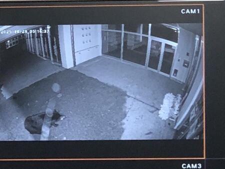 小学校の窓ガラスにクマ激突、襲われた市職員は重傷 1週間たっても捕獲できず…人口3万人の山形県南陽市で警戒続く