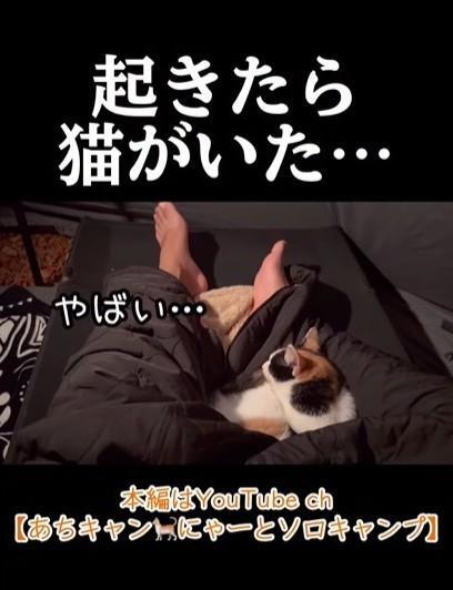 ソロキャンプ中、起きたら猫がいた！なぜ？（「あちにゃ～」さん提供、Instagramよりキャプチャ撮影）