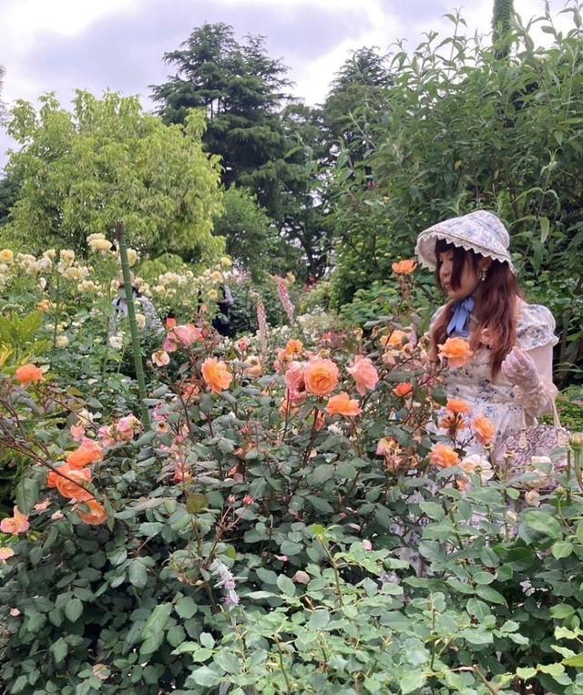 「理想」の一枚。横浜・港の見える丘公園でバラを見つめるたなこさん／たなこさん（@tikwb）提供