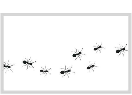 「なんでティッシュにアリがたかる?」その謎を解明!食べるためじゃない意外な理由と効果的な撃退法