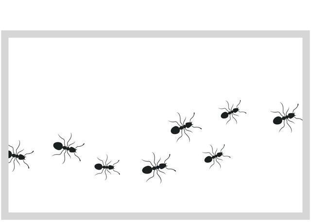 「ティッシュの箱にいつの間にかアリが集まっていた…」そんな経験はありませんか？※画像はイメージです（Gaaz Design/stock.adobe.com）