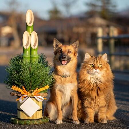 馬肉しぐれ煮に肉球しんじょう…愛犬、愛猫と“同じメニュー”を味わえる「おせち」が人気　イオン九州が予約受付中