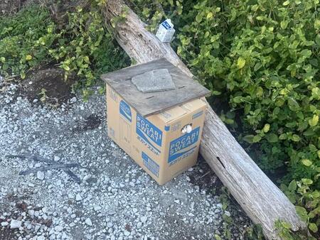 農地で不審な段ボール箱を発見、中には子猫が4匹→「こんな心無いことして」投稿に怒りの声「許せない」