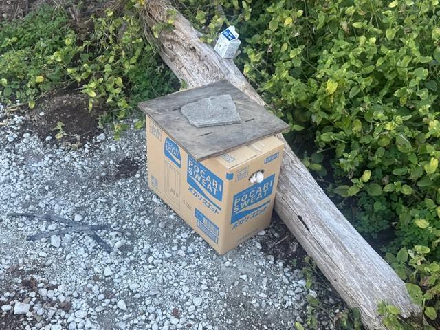 蓋の上に石のような重しが置かれていたという（「HirokA」さん提供）