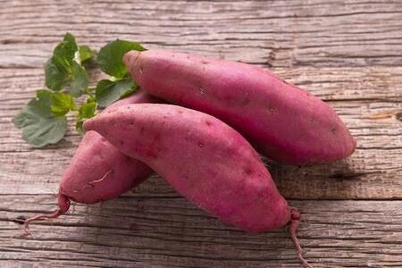 さつまいもの芽は食べられる? 長持ち&おいしさ倍増の保存ワザ