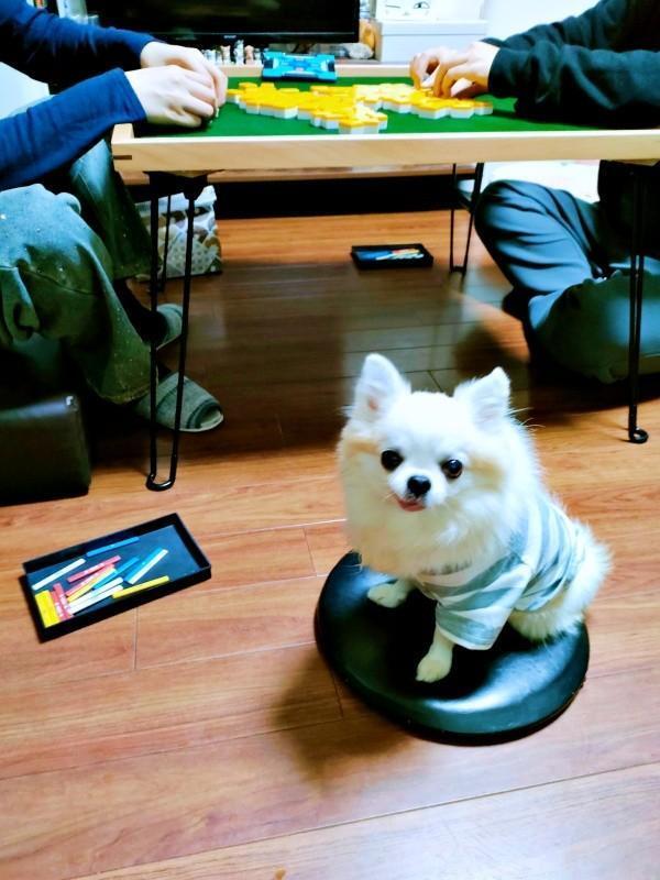 席を外したすきに…座席を奪うタケオしゃん（画像提供：じゅんじゅんさん）