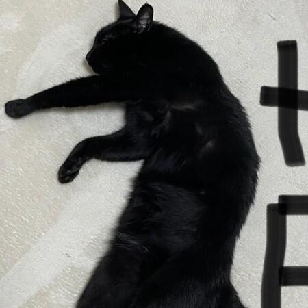 リアルな「けものへん」！？（画像提供：ティグノアさん）※一部トリミング