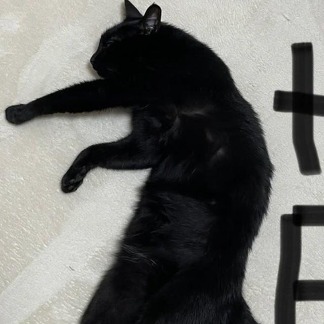 リアルな「けものへん」！？（画像提供：ティグノアさん）※一部トリミング