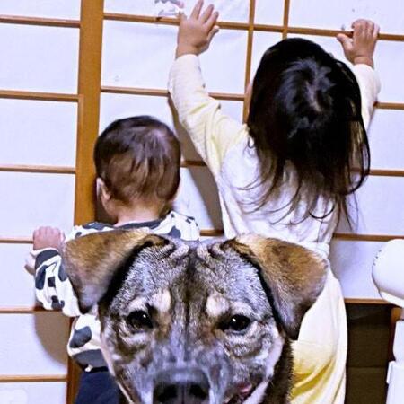 元保護犬が、鋭い歯を見せてニヤリ……衝撃ショットに「どういう感情w」「悪だくみしてるw」