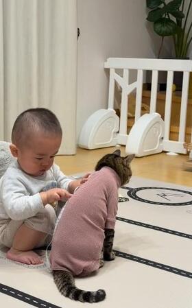 1歳息子が猫の体にメジャーを!? なにしてるの? 飼い主が語る“優しい兄弟”の関係
