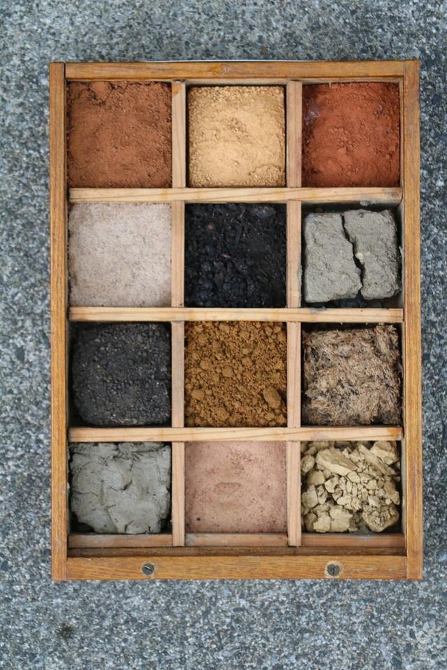 まるで「イエベ秋」向けアイシャドウパレットみたいと話題に(提供：藤井一至さん)