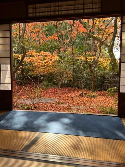 晩秋から初冬へと向かう境内の美しさ（画像提供：高台寺岡林院さん）