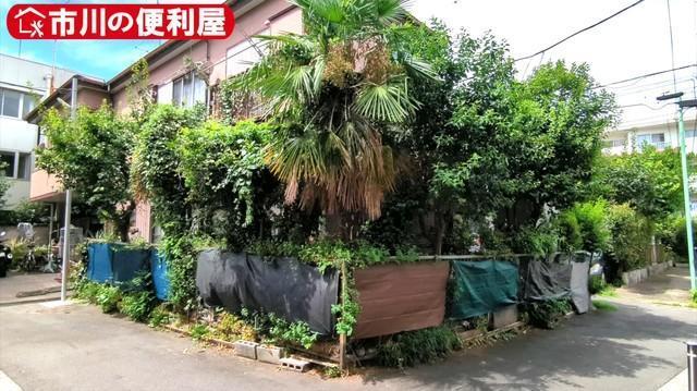 足元まで草木が迫り、長年手入れされていなかった庭／市川の便利屋さん（@ichikawanobenriya）提供