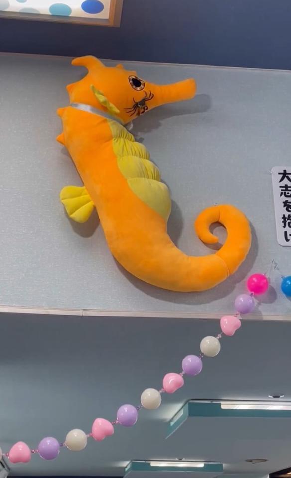 壁に装飾されたタツノオトシゴに登っている＂アカテガニ＂／伊勢シーパラダイス（@iseseaparadise）提供