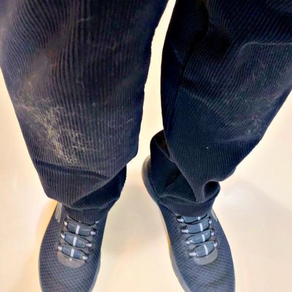 膝下が真っ白になった飼い主さんのズボン（画像提供：黒柴もち吉さん）